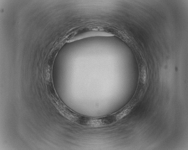 X0000053110413200508012130