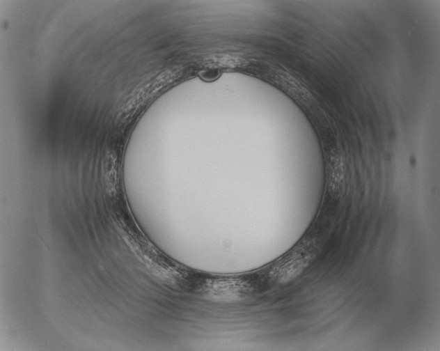 X0000053110414200508012130