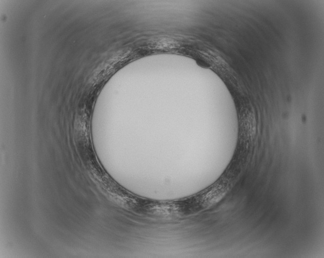 X0000053110415200508012130