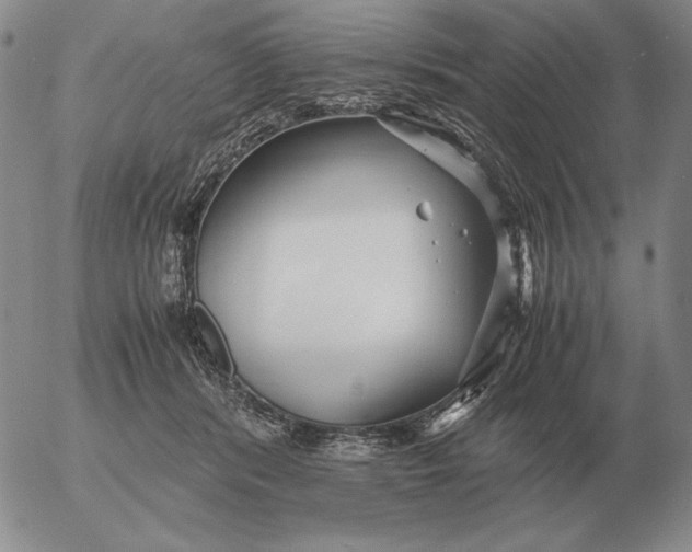 X0000053110416200508012130