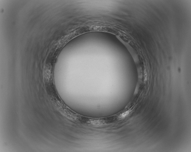 X0000053110417200508012130