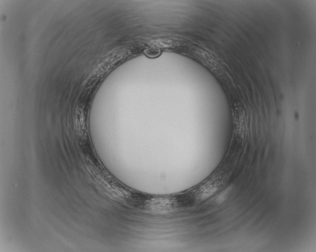 X0000053110418200508012130