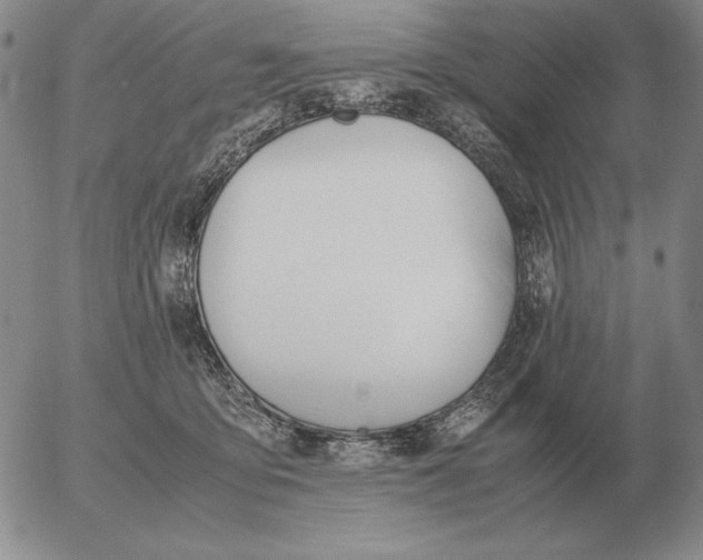 X0000053110419200508012130