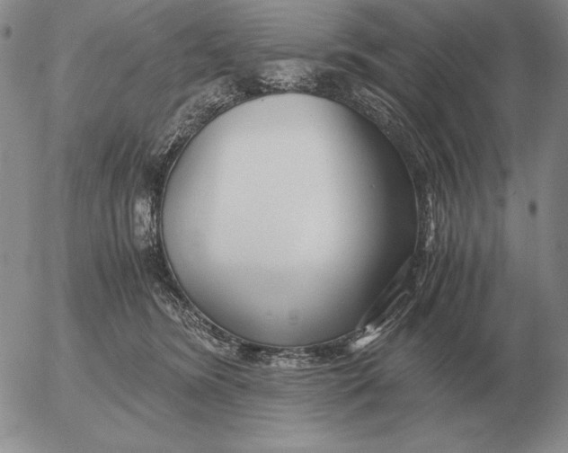 X0000053110420200508012130