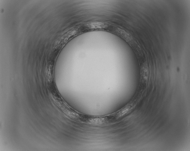 X0000053110422200508012130