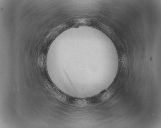 X0000053110423200508012130