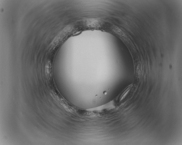 X0000053110424200508012130