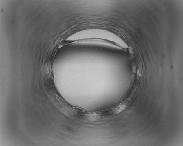 X0000053110425200508012130