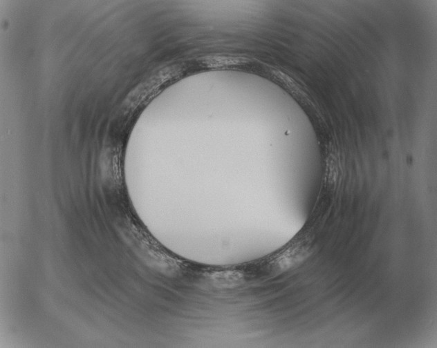 X0000053110426200508012130