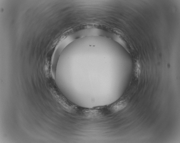 X0000053110428200508012130