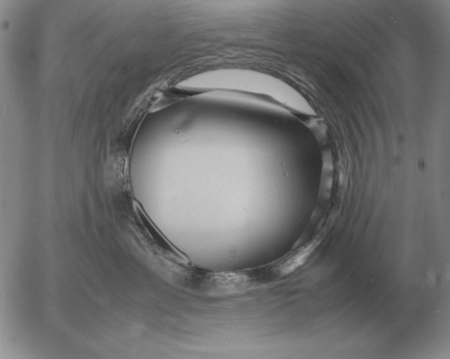 X0000053110429200508012130