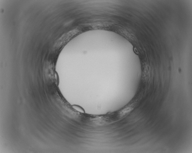 X0000053110430200508012129