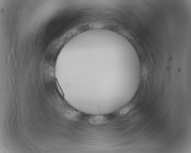 X0000053110431200508012129