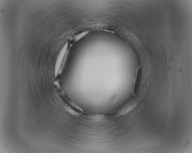 X0000053110432200508012129