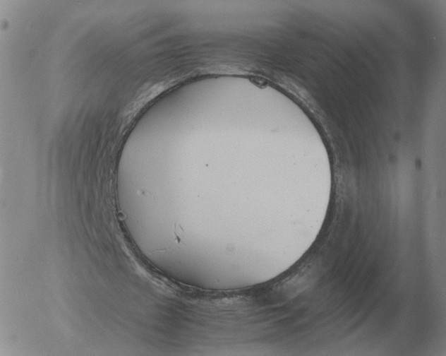 X0000053110433200508012129