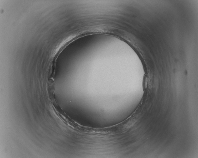 X0000053110434200508012129