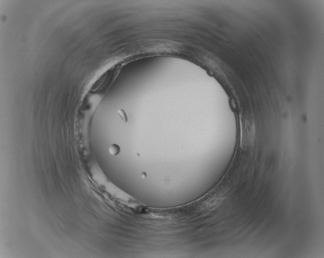 X0000053110435200508012129