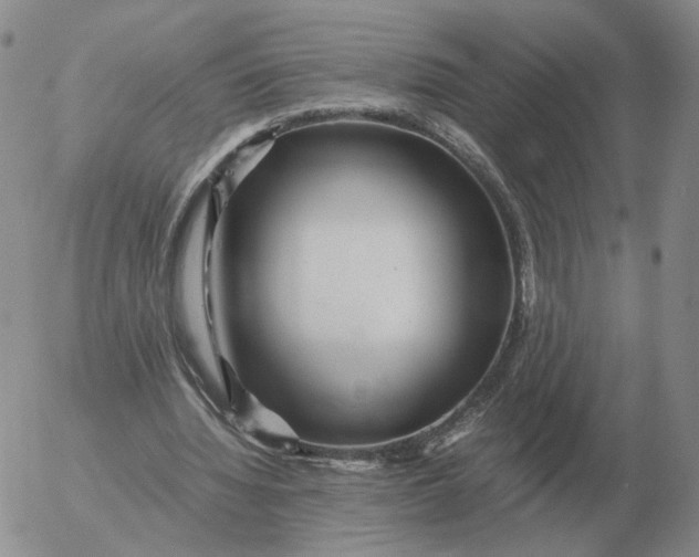 X0000053110436200508012129