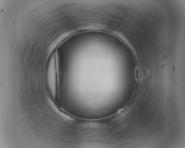 X0000053110437200508012129