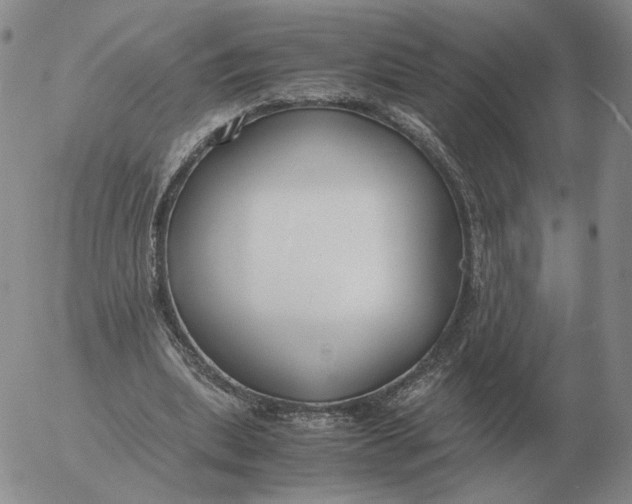 X0000053110439200508012129