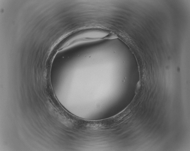 X0000053110440200508012129