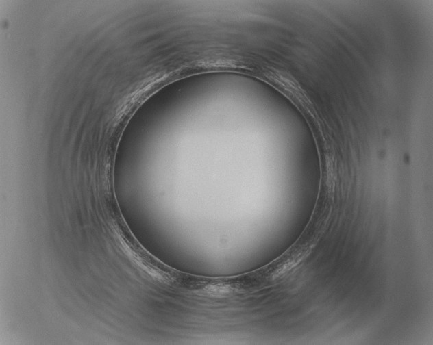 X0000053110441200508012129