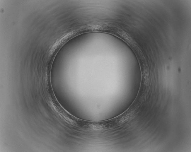 X0000053110442200508012129