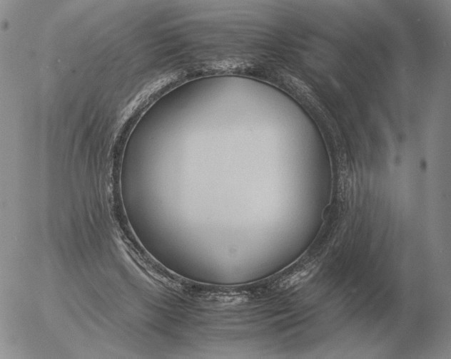 X0000053110443200508012129