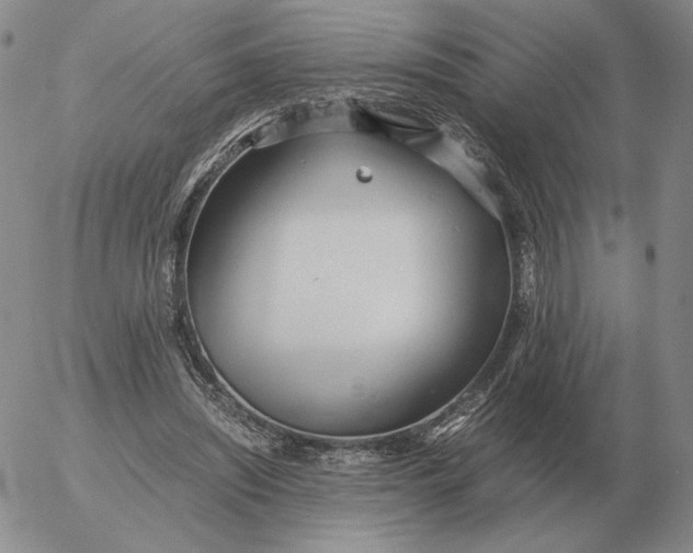 X0000053110444200508012129