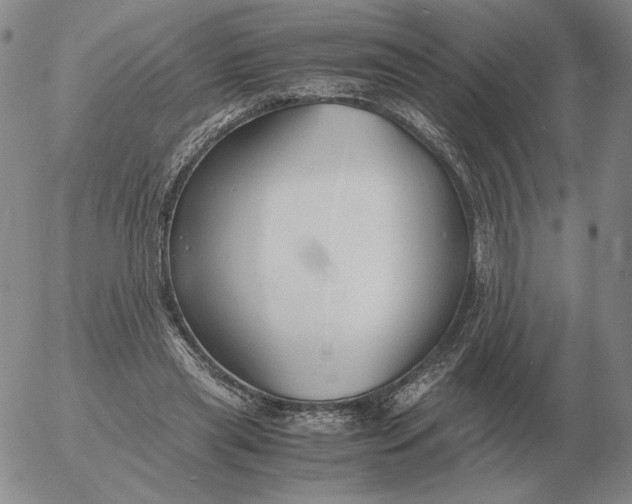 X0000053110445200508012129