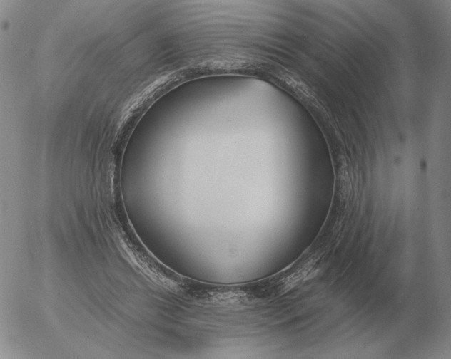 X0000053110446200508012129