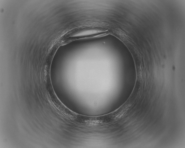 X0000053110448200508012129