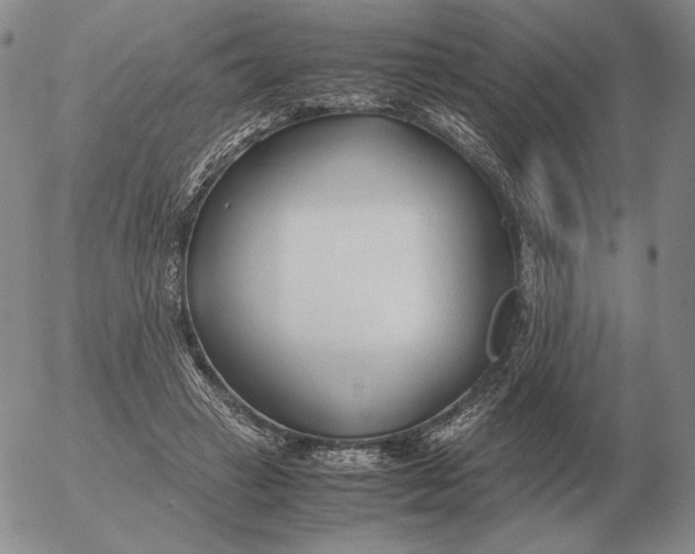 X0000053110449200508012129