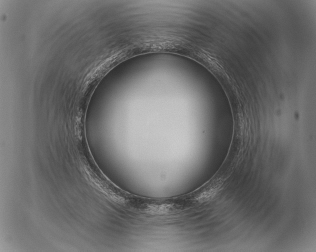 X0000053110450200508012129