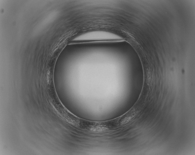 X0000053110451200508012129