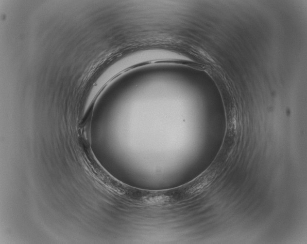 X0000053110452200508012129