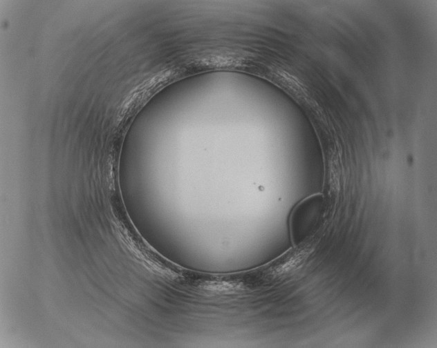 X0000053110453200508012129