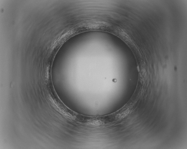 X0000053110454200508012129