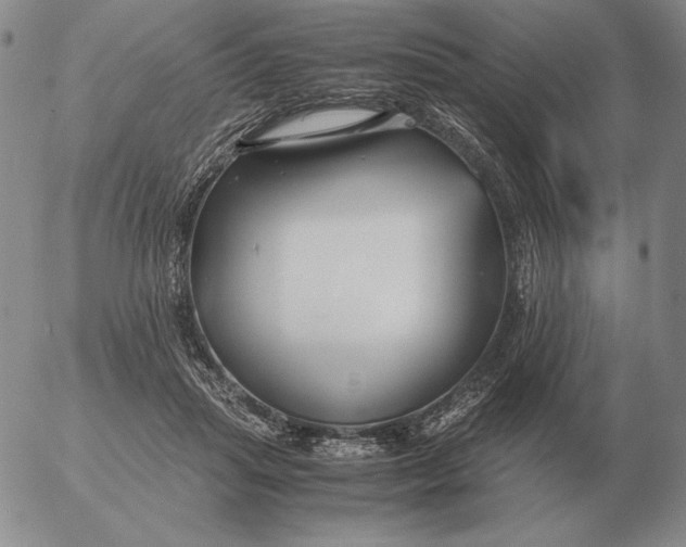 X0000053110455200508012129