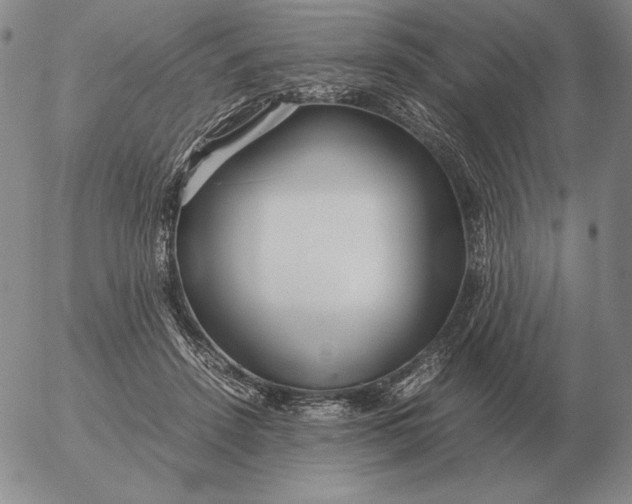 X0000053110456200508012129