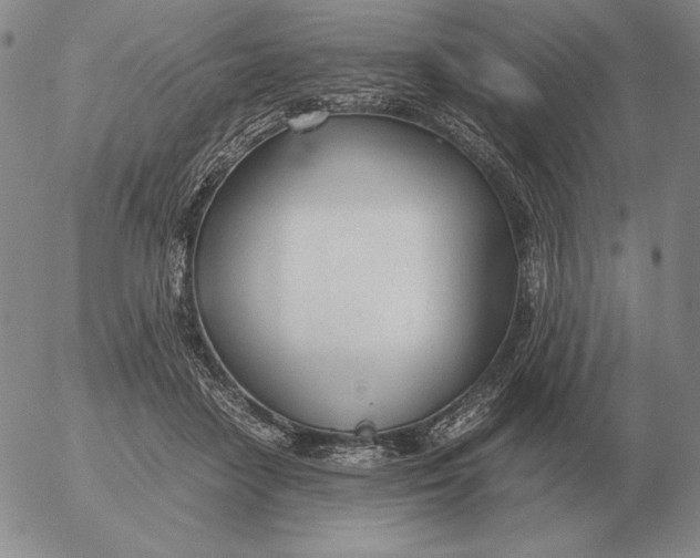 X0000053110458200508012129