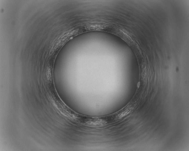 X0000053110459200508012129