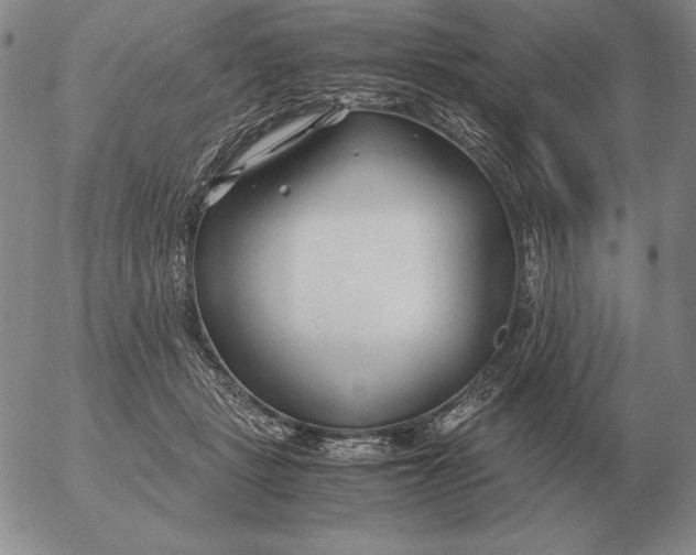 X0000053110461200508012129