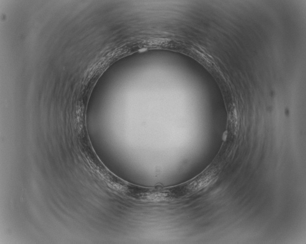 X0000053110462200508012129