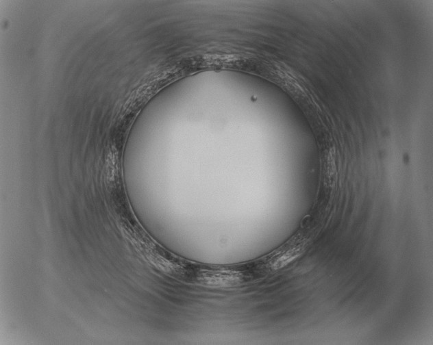 X0000053110463200508012129