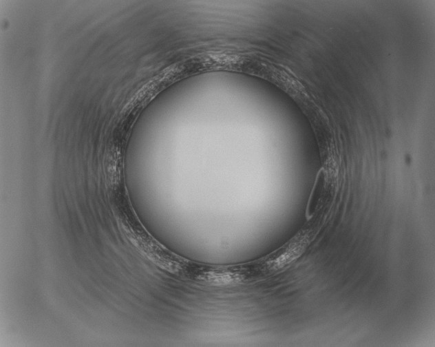 X0000053110464200508012129