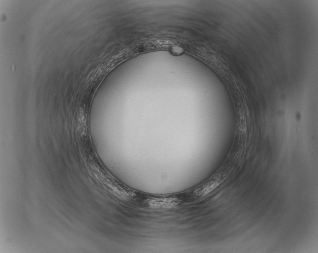 X0000053110465200508012129