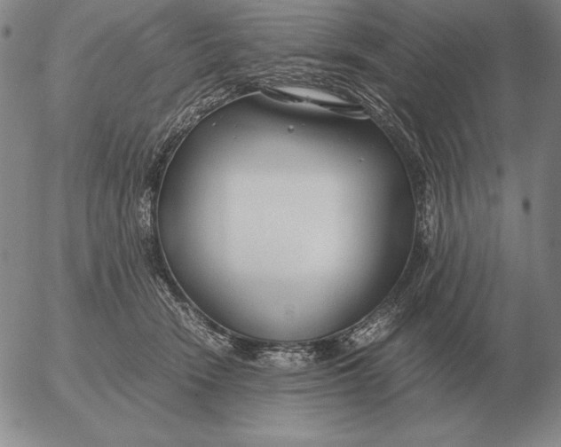 X0000053110466200508012129