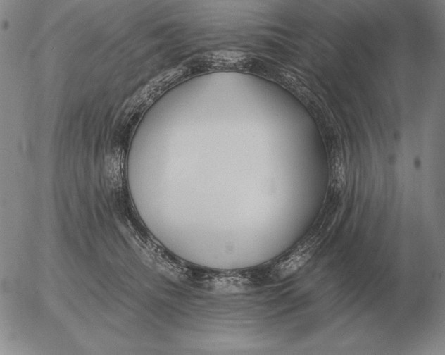 X0000053110468200508012129