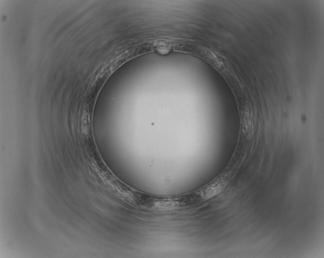 X0000053110470200508012129